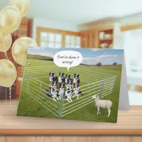 Border Collies and Sheep Farm Humor Funny Birthday Card