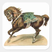 Vintage Circus Horse Square Sticker