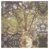 Mirrored Tree Fabric
