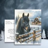 Beautiful Festive Black Horse on Farm Christmas Postcard