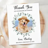 Modern Pet Photo Eucalyptus Dog Wedding Thank You Postcard