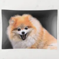 Cute Laughing Pomeranian Dog Trinket Tray