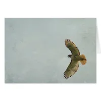 Hawk Cards