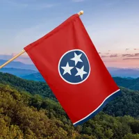 State of Tennessee House Flag