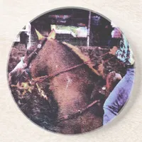 Cowgirl and Paint Horse Coaster
