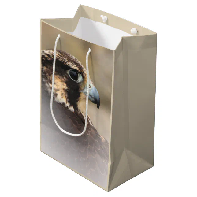 Vignetted Profile of a Peregrine Falcon Medium Gift Bag