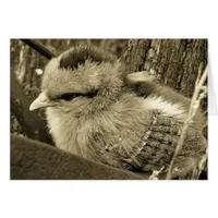 Sepia Chick Playing in the Garden