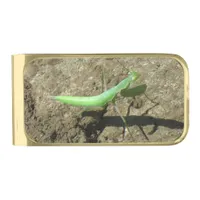 Money Clip - Preying Mantis