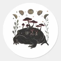 Academia Moon Witchy Goblincore Aesthetic Frog Cla Classic Round Sticker