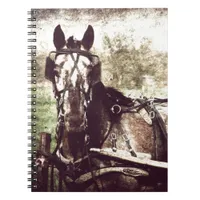 Appaloosa Horse Notebook
