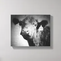 Cow in Black and White Canvas Print