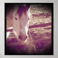 Cold Day Gray Poster