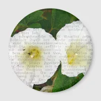 Field Bindweed Collage Magnet