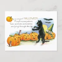 Vintage Halloween Greeting Black Cat JackoLantern Postcard