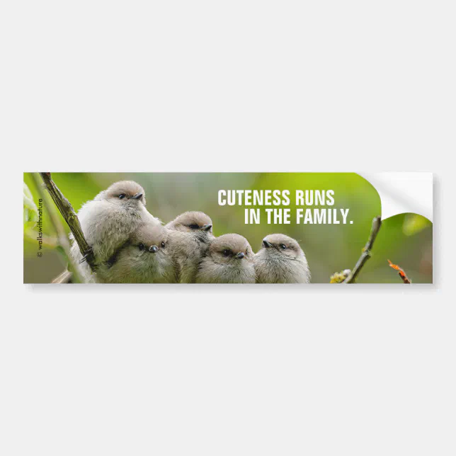 Heartwarming Cute Bushtits Songbirds Family Photo Bumper Sticker