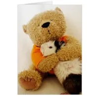 Teddy Hugs A Guinea Pig