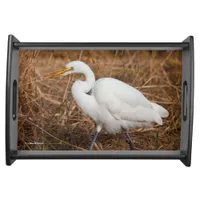 Elegant Great Egret in the Reeds Serving Tray