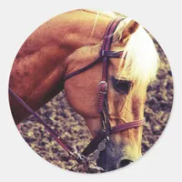 Western Palomino Classic Round Sticker