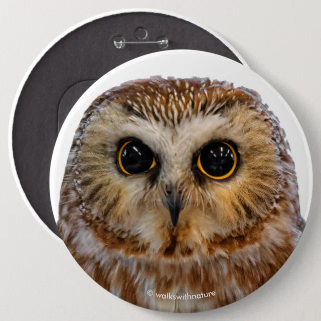 Cute Northern Saw Whet Owl Button