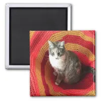 Pearl Cat on Afghan Magnet