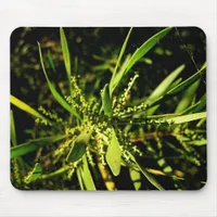 nature's green Mousepad