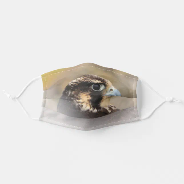 Vignetted Profile of a Peregrine Falcon Adult Cloth Face Mask