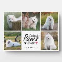 Cutest Paws Ever Modern Cute Pet Dog Photo Collage Plaque