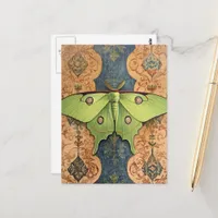 A Beautiful Green Moth Brown Blue Background Postcard