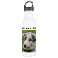 Store Water for your Dog in this Personalized Water Bottle