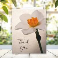 White Spring Daffodil Thank You Note