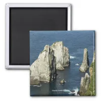 Chowiet Seabird Colonies, Alaska Magnet