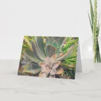 Succulents, Mother's Day Card