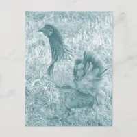 Tinted Hen Postcard