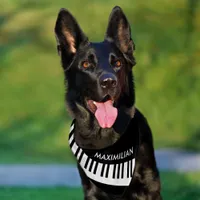 Piano Keys Black and White Musical Instrument Dog Pet Bandana Collar