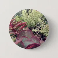 Succulent Plants Button