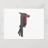 Stylish Black Palm Cockatoo Postcard