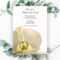 Orchid on White Mother's Day Brunch Invitation