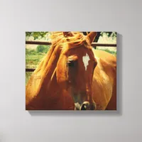 Scotch Canvas Print