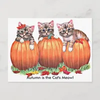 Autumn is the Cat's Meow Postcard