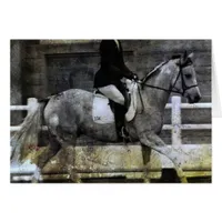 Pinto Dressage Horse