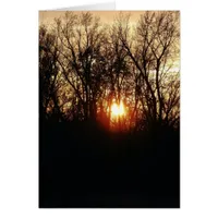 As The Sun Sets