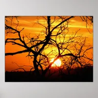 Sunset Entwined Poster