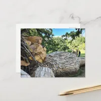 A Beautiful Troll Asleep Postcard