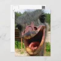 Funny Ostrich Bird Photo What's Up Postcard