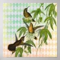 Hummingbird Digital Art Poster