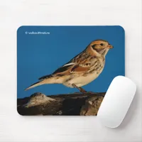 Lapland Longspur Bunting Songbird on a Sunlit Log Mouse Pad