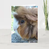 Guinea Pig Female Portrait Card
