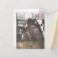 Paint Mare and Newborn Foal Postcard