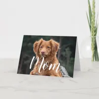 Dog Mom Funny Happy Birthday Cute Dog Mom Card