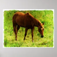 Summer Dreams, Sorrel Eating Grass Poster